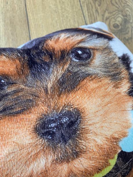 Vankúšik psík, šírka (cm): 30,dĺžka (cm): 30