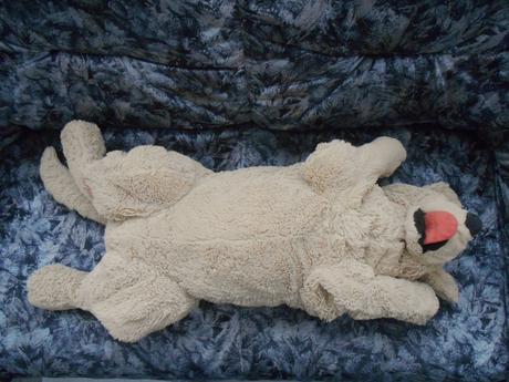 Plyšový gosig golden zlatý retriever,