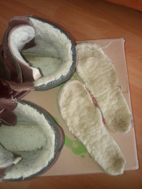 Filii himalaya 30, filii,30