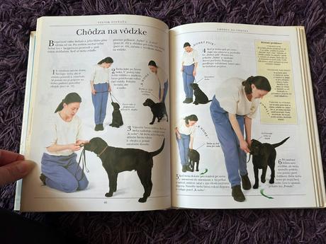 Výchova a výcvik psa,