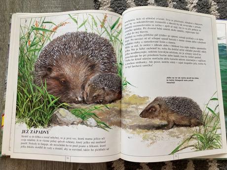 Zvieratá európy-prvé vyd.1997, 