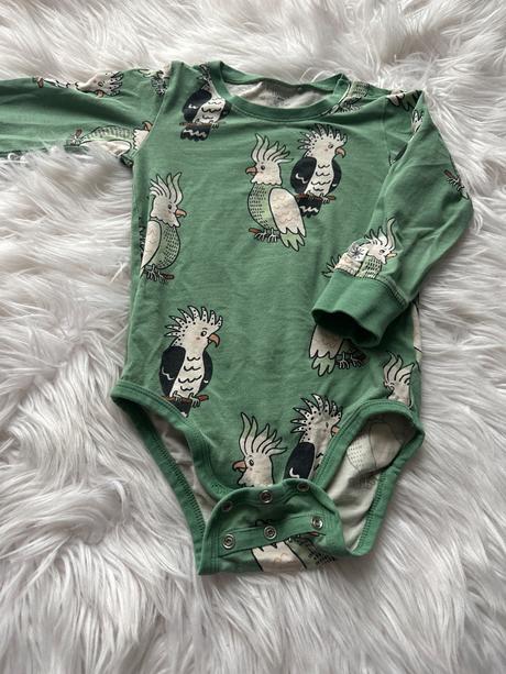 Body lindex papagáj, lindex,86