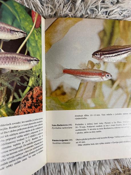 Stará retro kniha akváriové ryby stanislav frank,