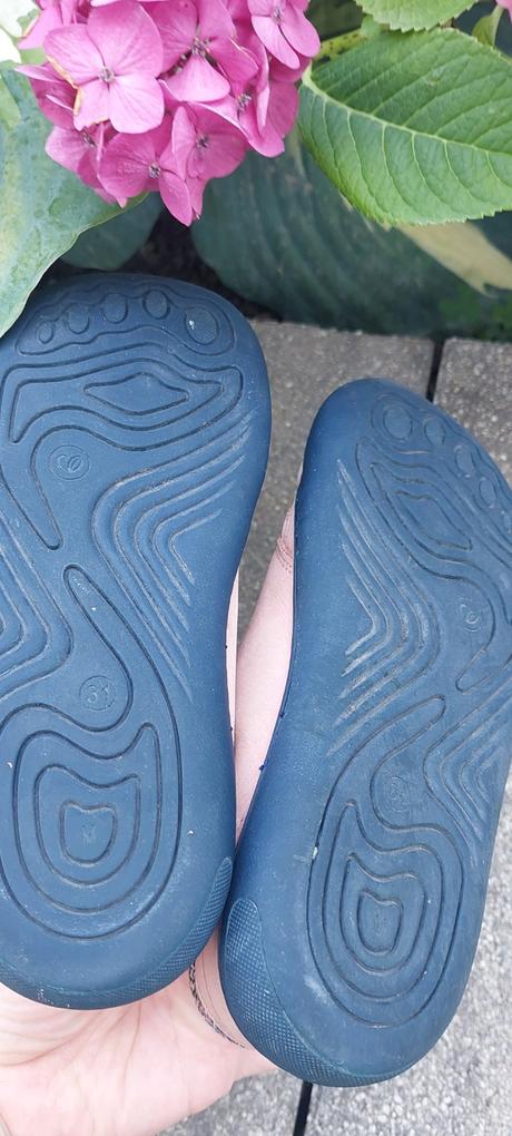 Barefoot blifestyle tapir, 31