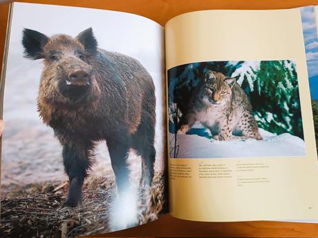 Slovenské národné parky, 