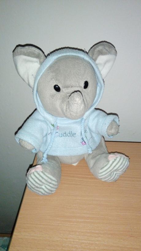 Sloník s mikinou,