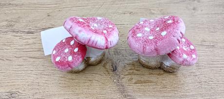 Muchotrávka - 80x50 mm, 