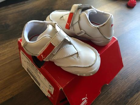 Botasky puma, puma,20