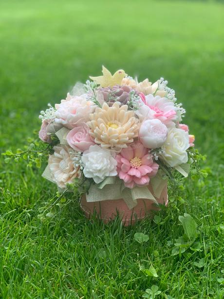 Mydlova kytica gratulačná, 