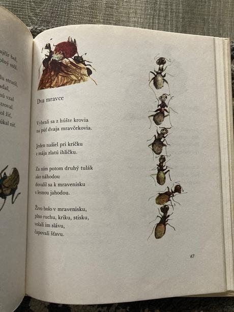 Čarokruh - jan čarek (1983), 