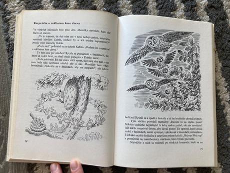Utečenec na vtáčom strome-prvé vyd.1982,