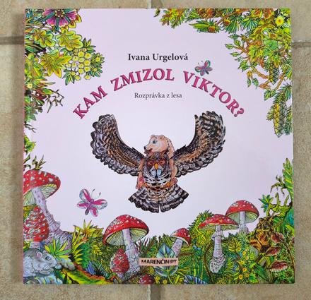 Kniha kam zmizol viktor,