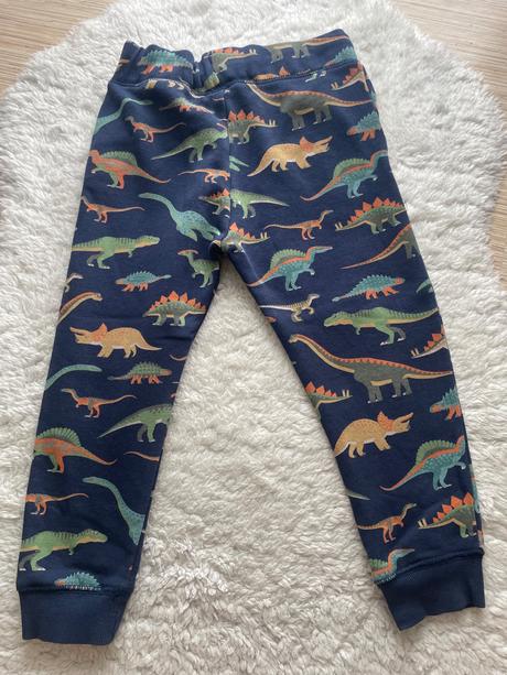 Modra teplakova suprava dinosaury h&m, h&m,98