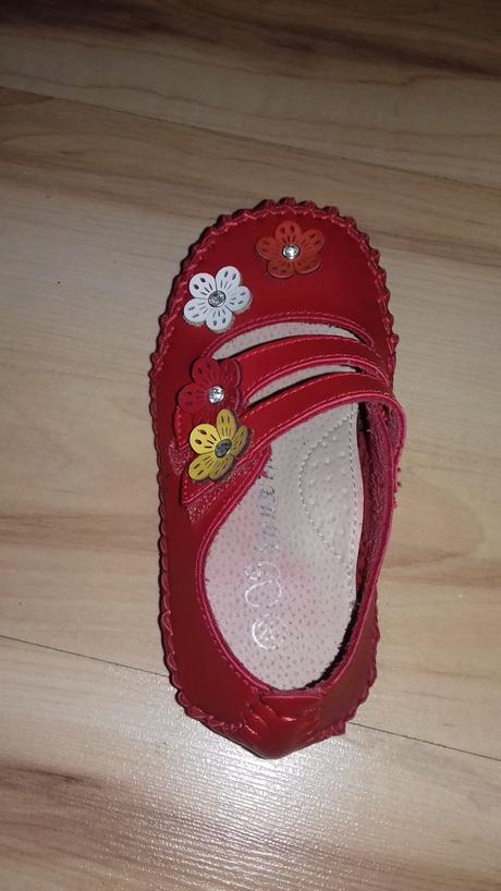 Topankove papucky, 26