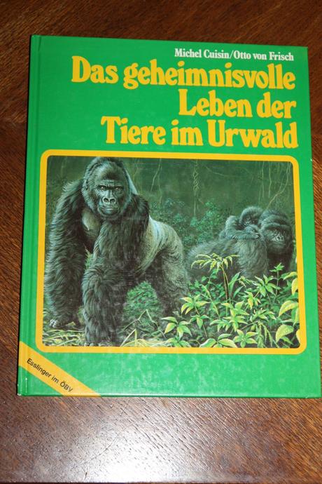 Tiere im urwald, 