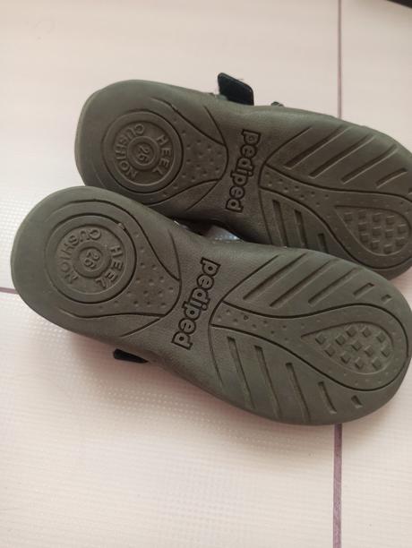 Pediped sahara, pediped,26