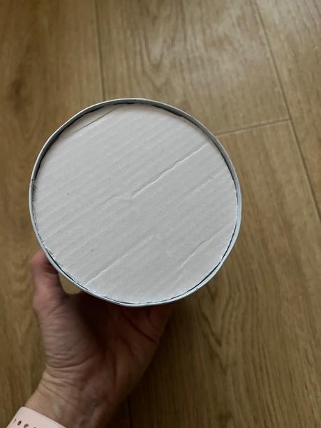 Mickey & minnie mouse a pluto, 