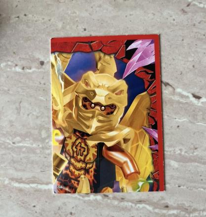 Ninjago puzzle karta 246,