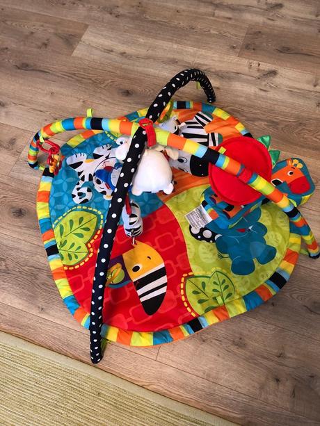 Hrazdicka bright starts, 