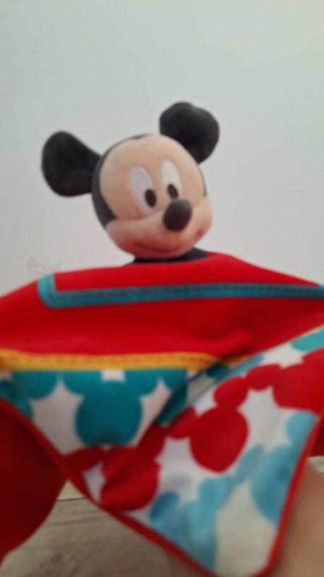Mojkáčik mickey, 