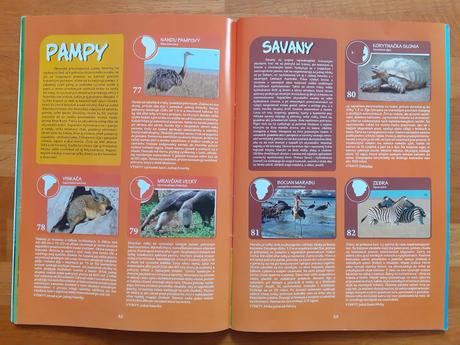 Albumy zvierat so samolepkami,