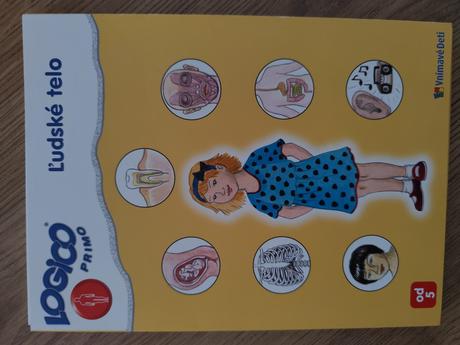 Logico primo + povolania, ľudské telo, 