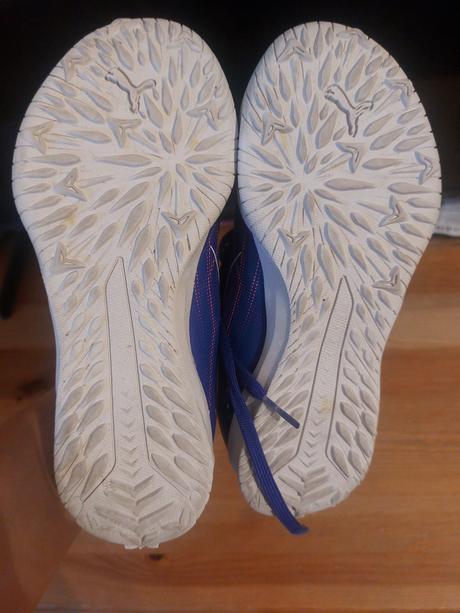 Halovky  puma, puma,33