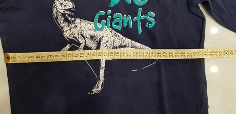 Tričko lupilu, v. 98/104, lupilu,104