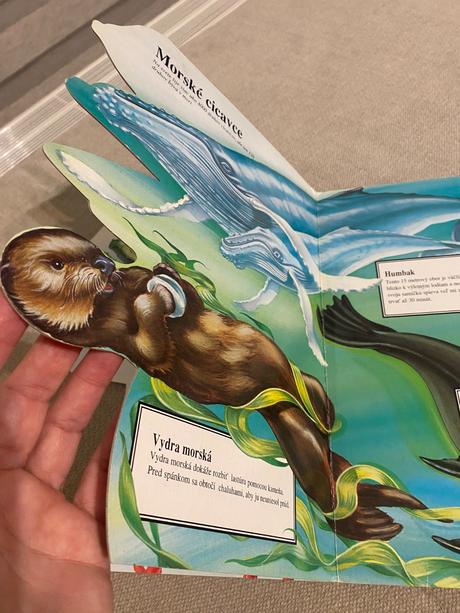 Morské zvieratá v malíčku text judy nayer ilus,