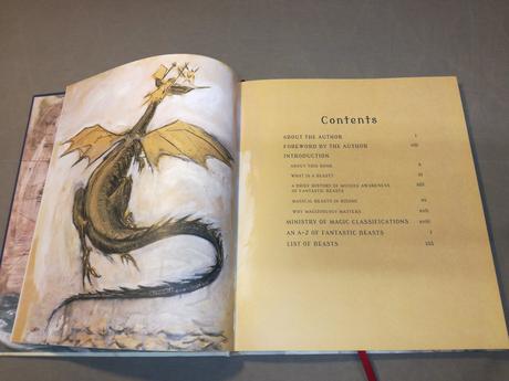 Newt scamander fantastic beasts and... au22,