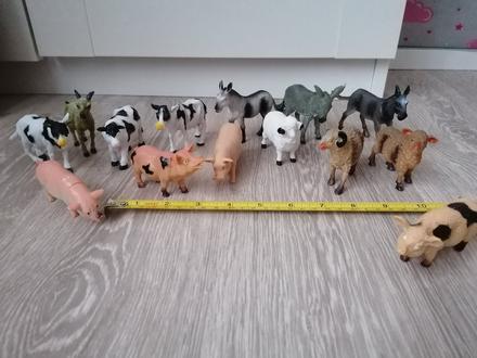 Hospodárske zvieratá,