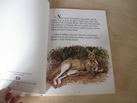 Knižka - zázrak v údolí strýčka billyho,