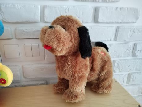 Psik šteká, trošku sa hýbe,