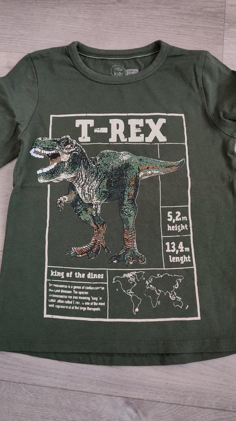 Tričko t-rex, pepco,128