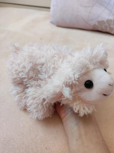 Plyšová ovečka, 