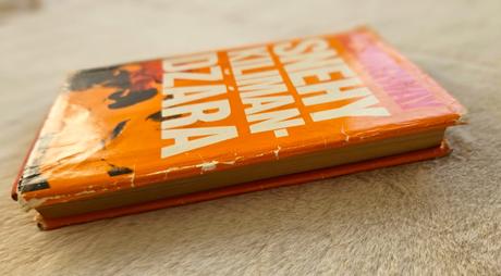 Kniha 'snehy kilimandžára' ernest hemingway,