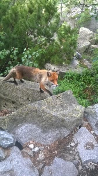 Ži zdravo a športovo