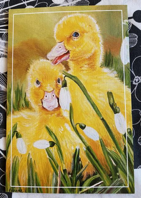 Pohľadnice s obálkou - veľká noc, jar - zajkovia,