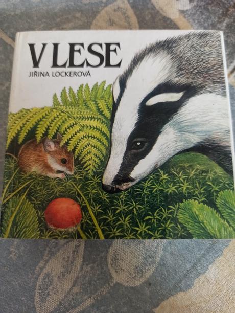 -leporelo, v lese, citana, 