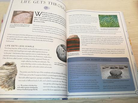 Martin ince drift nsp21, 