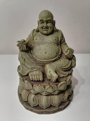 Budha do teráriá, 