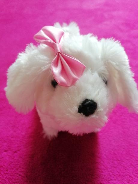 Psík - treba opraviť,