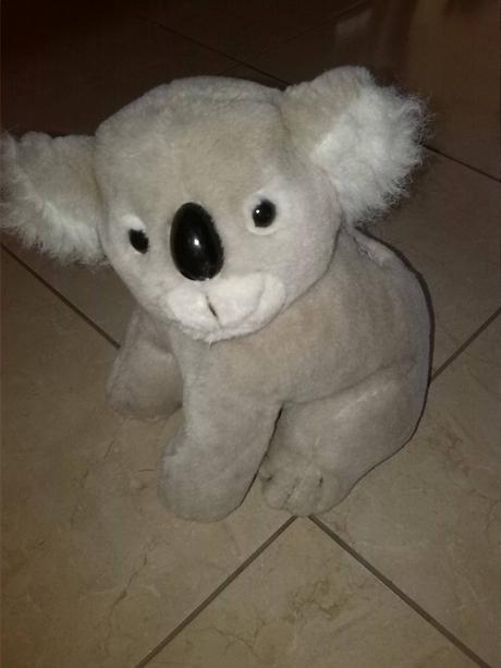 Koalka,