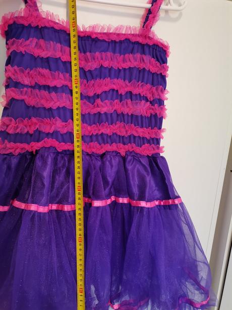 Šaty pre baletu aj na karneval, 