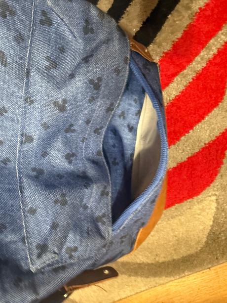 Disney batoh, disney