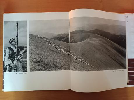 Drevené stavby na slovensku (1971),