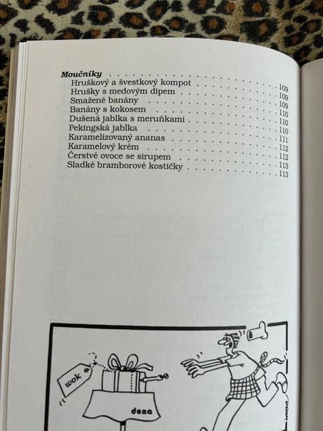 Kuchařka vaříme na pánvi wok - karina havlů, 