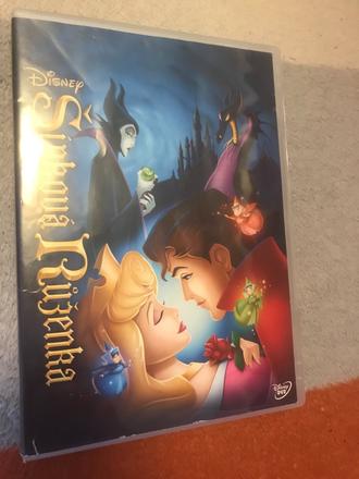 Dvd šipova ruženka,