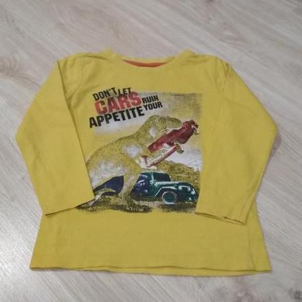 Tričko autíčko s dinom č.110, dopodopo,110