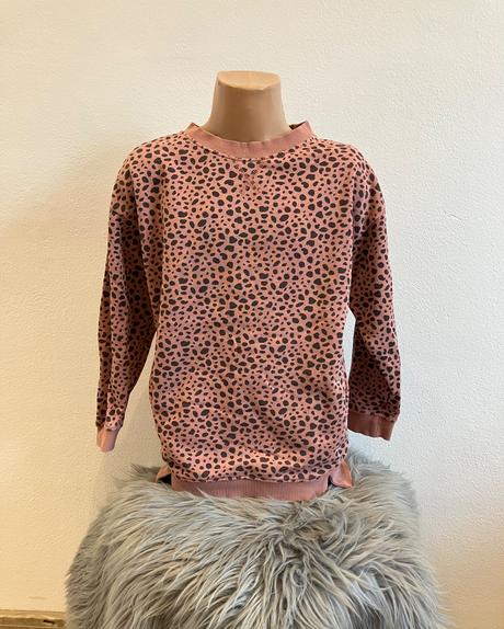Dievčenská mikina so zvieracou potlačou (122), h&m,122